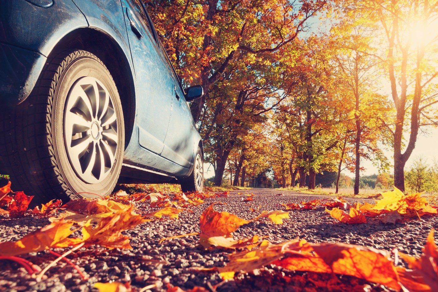 Don’t Fall for These 7 Silent Battery Drains Car Driving on Fall leaves
