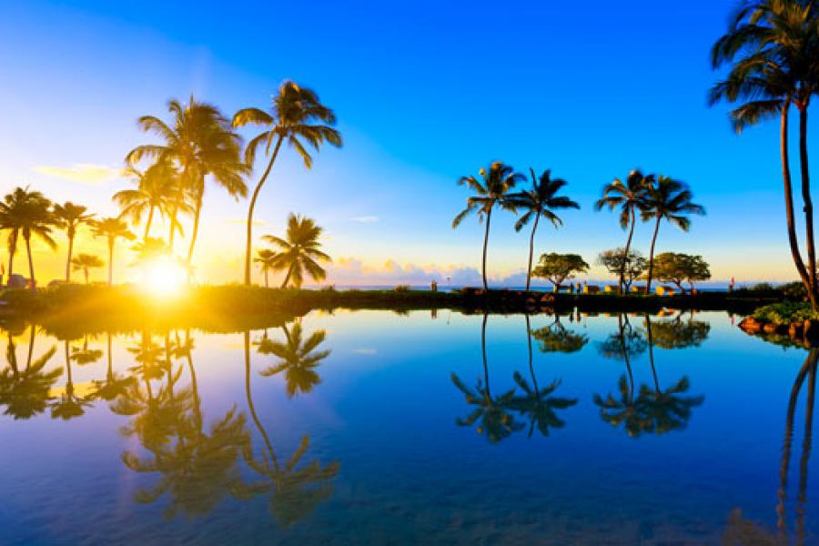 aaa travel packages to hawaii